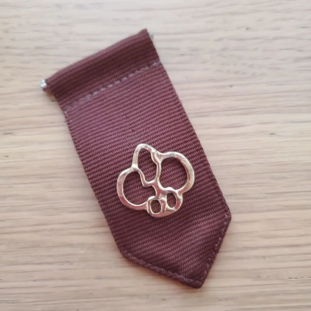 Vintage 90s Girl Scout Brownie Pin Set